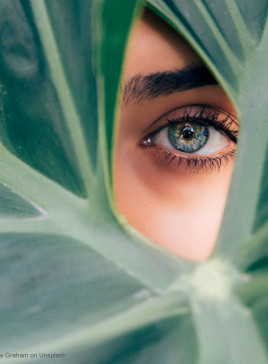 Das Auge einen jungen Frau mit einer Kontaktlinse sieht durch ein Lock eines großen Blattes einer Pflanze hindurch.